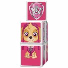Geomag Magicube Paw Patrol Skye thumbnail